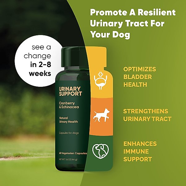 Show full view: Rooted Owl Natural Urinary Support Vegan Capsules Supplement with Cranberry for Dogs, 60 count slide 3 of 11