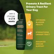Show in main carousel: Rooted Owl Natural Urinary Support Vegan Capsules Supplement with Cranberry for Dogs, 60 count slide 3 of 11