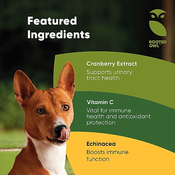 Show full view: Rooted Owl Natural Urinary Support Vegan Capsules Supplement with Cranberry for Dogs, 60 count slide 4 of 11