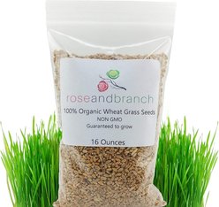 Rose & Branch Organic Wheat Cat Grass Seeds, 16-oz pouch