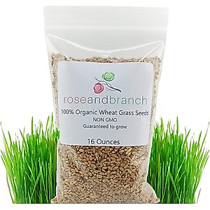 Rose & Branch Organic Wheat Cat Grass Seeds, 16-oz pouch