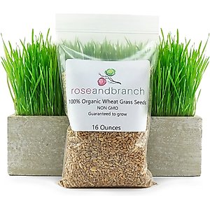 Rose & Branch Organic Wheat Cat Grass Seeds, 16-oz pouch