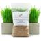 Show in main carousel: Rose & Branch Organic Wheat Cat Grass Seeds, 16-oz pouch slide 3 of 7