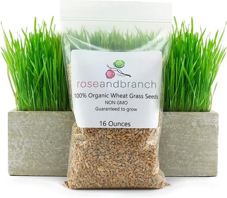 Show full view: Rose & Branch Organic Wheat Cat Grass Seeds, 16-oz pouch slide 3 of 7