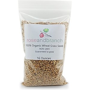 Rose & Branch Organic Wheat Cat Grass Seeds, 16-oz pouch