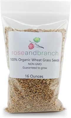 Show full view: Rose & Branch Organic Wheat Cat Grass Seeds, 16-oz pouch slide 6 of 7