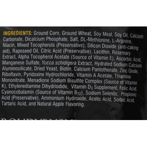 Roudybush Daily Maintenance Small Bird Food, 10-lb bag