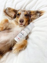 Rowan Dry Dog Shampoo, Coconut Scent, 1.1-oz bottle slide 2 of 6