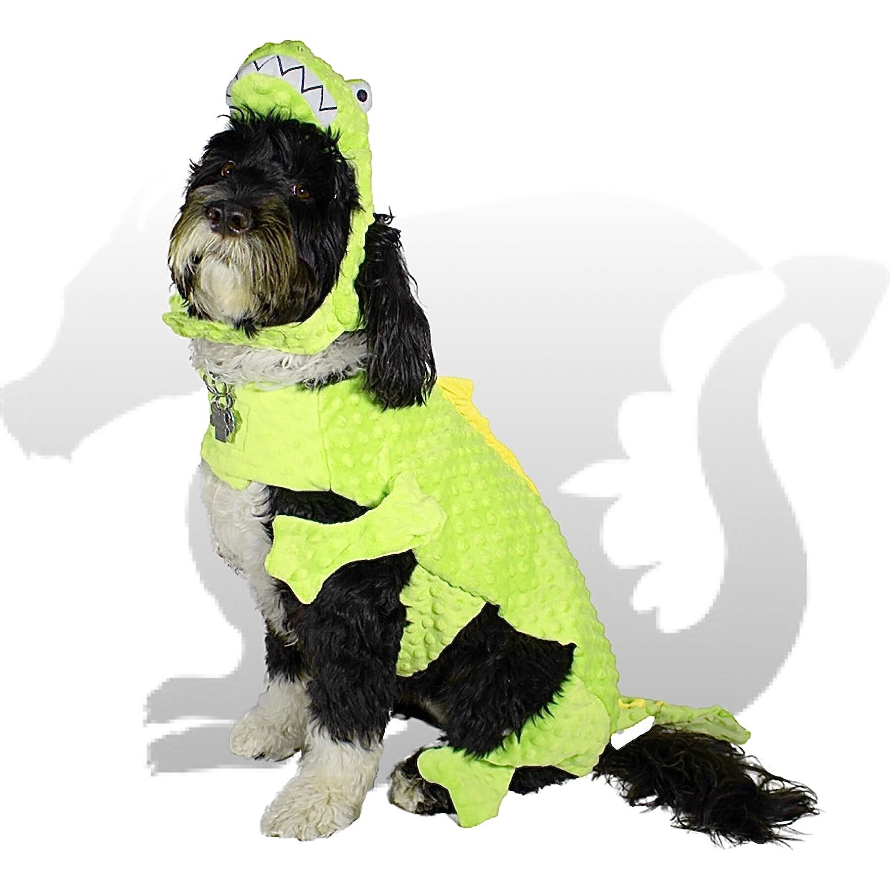 Royal Animals Dragon Dog Costume, Small