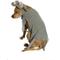 Show in main carousel: Royal Animals Elephant Dog Costume, Medium  slide 2 of 4