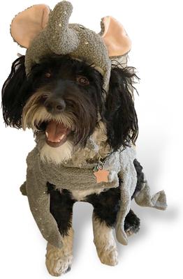 Show full view: Royal Animals Elephant Dog Costume, X-Small slide 4 of 4