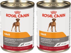 Royal Canin Canine Health Nutrition Adult In Gel Canned Dog Food, 13.5-oz can, bundle of 24