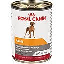 Royal Canin Canine Health Nutrition Adult In Gel Canned Dog Food, 13.5-oz, case of 12