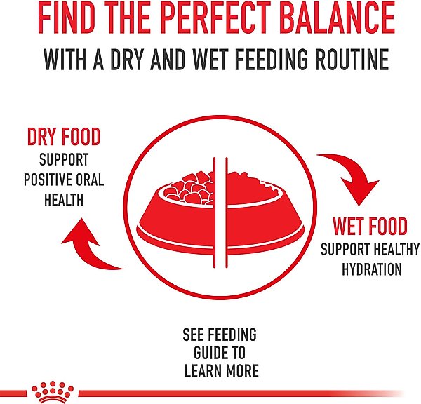 Royal Canin Feline Health Nutrition Adult Instinctive Loaf in Sauce Wet Cat Food
