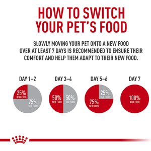 Royal Canin Aging 12+ Thin Slices in Gravy Wet Cat Food, 3-oz can, case of 24