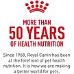 Show in main carousel: Royal Canin Canine Health Nutrition Beauty Loaf in Sauce Wet Dog Food, 5.2-oz can, case of 12 slide 5 of 10