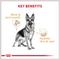 Show in main carousel: Royal Canin Breed Health Nutrition German Shepherd Loaf Pate Adult Wet Dog Food, 13.5-oz, case of 12 slide 4 of 12