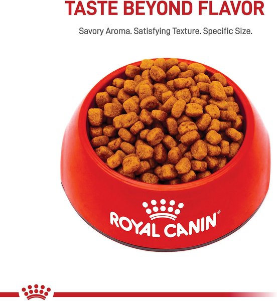 Royal Canin Breed Health Nutrition Yorkshire Terrier Adult Dry Dog Food