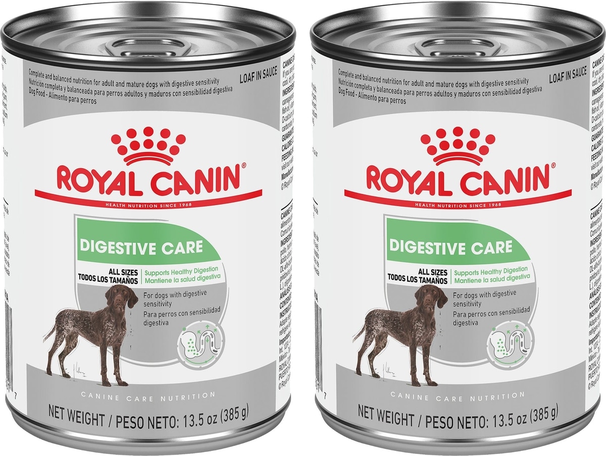 ROYAL CANIN Canine Care Nutrition Digestive Care Loaf in Sauce - Main Image
