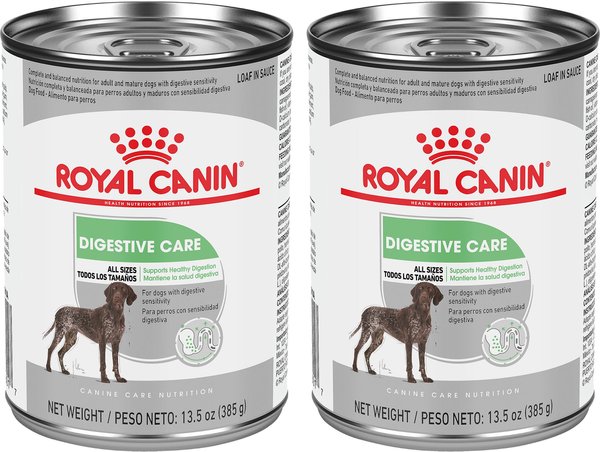 Royal Canin Coat Care Loaf in Sauce Canned Dog Food
