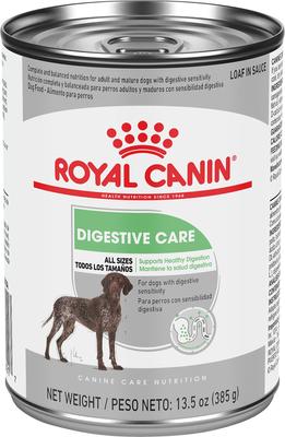 Royal Canin Canine Care Nutrition Digestive Care Loaf in Sauce Canned Dog Food, 13.5-oz, case of 12