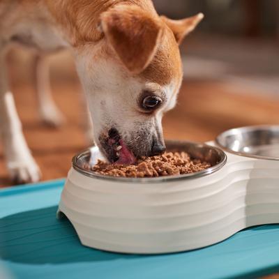 Show full view: Royal Canin Canine Care Nutrition Digestive Care Loaf in Sauce Canned Dog Food, 13.5-oz, case of 12 slide 6 of 10