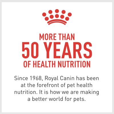 Show full view: Royal Canin Canine Care Nutrition Joint Care Loaf in Sauce Canned Dog Food, 13.5-oz, case of 12 slide 5 of 9