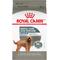 Show in main carousel: Royal Canin Canine Care Nutrition Large Dental Care Dry Dog Food, 30-lb bag slide 1 of 9