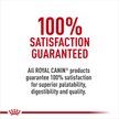 Royal Canin Canine Care Nutrition Large Dental Care Dry Dog Food