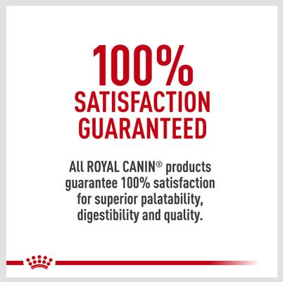 Show full view: Royal Canin Canine Care Nutrition Medium Dental Care Dry Dog Food, 28-lb bag slide 6 of 9