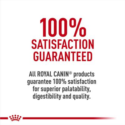 Show full view: Royal Canin Canine Care Nutrition Small Dental Care Dry Dog Food, 17-lb bag slide 6 of 9
