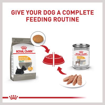 Show full view: Royal Canin Canine Care Nutrition Small Sensitive Skin Care Dry Dog Food, 3-lb bag slide 7 of 12