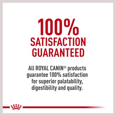 Show full view: Royal Canin Canine Care Nutrition Weight Care Loaf in Sauce Canned Dog Food, 13.5-oz, case of 12 slide 4 of 9