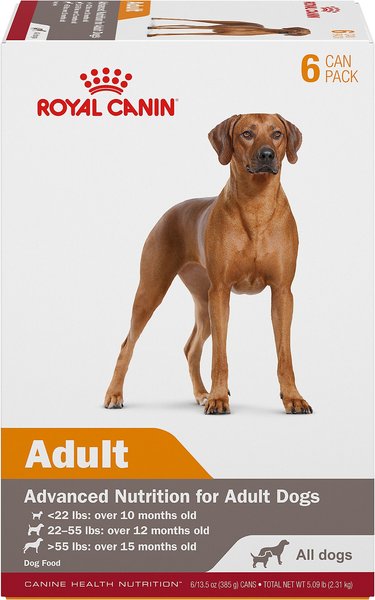 Show full view: Royal Canin Canine Health Nutrition Adult In Gel Canned Dog Food, 13.5-oz can, 6-pack slide 1 of 11