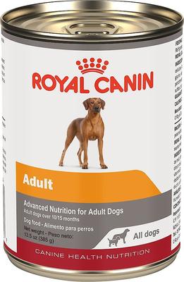 Show full view: Royal Canin Canine Health Nutrition Adult In Gel Canned Dog Food, 13.5-oz can, 6-pack slide 3 of 11