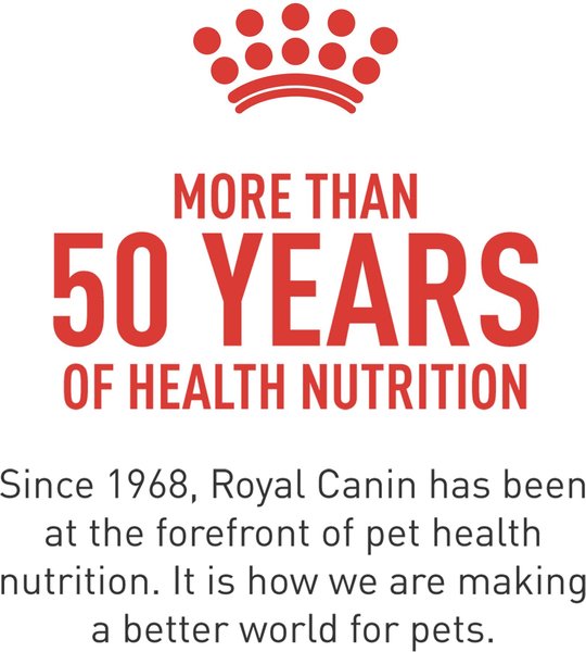 Show full view: Royal Canin Canine Health Nutrition Adult In Gel Canned Dog Food, 13.5-oz can, 6-pack slide 5 of 11