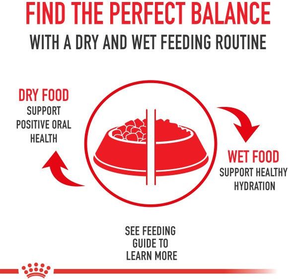 Show full view: Royal Canin Canine Health Nutrition Adult In Gel Canned Dog Food, 13.5-oz can, 6-pack slide 8 of 11