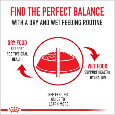 Show full view: Royal Canin Canine Health Nutrition Puppy Appetite Stimulation Loaf in Sauce Wet Dog Food, 5.2-oz can, case of 12 slide 5 of 12