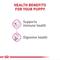 Show in main carousel: Royal Canin Canine Health Nutrition Puppy Appetite Stimulation Loaf in Sauce Wet Dog Food, 5.2-oz can, case of 12 slide 4 of 12