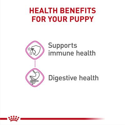 Show full view: Royal Canin Canine Health Nutrition Puppy Appetite Stimulation Loaf in Sauce Wet Dog Food, 5.2-oz can, case of 12 slide 4 of 12