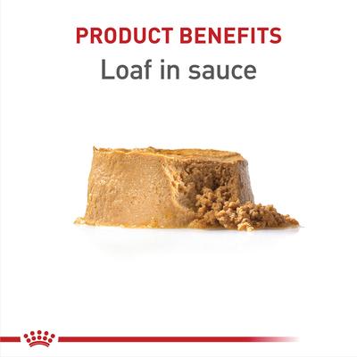 Show full view: Royal Canin Canine Health Nutrition Puppy Appetite Stimulation Loaf in Sauce Wet Dog Food, 5.2-oz can, case of 12 slide 3 of 12
