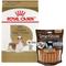 Show in main carousel: Royal Canin Cavalier King Charles Adult Dry Food, 10-lb bag + SmartBones SmartSticks Peanut Butter Chews Dog Treats slide 1 of 7
