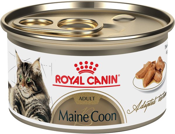 Royal Canin Maine Coon Thin Slices in Gravy Canned Cat Food
