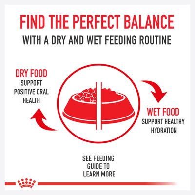 Show full view: Royal Canin Feline Breed Nutrition Persian Loaf Pate Adult Wet Cat Food, 3-oz can, case of 24 slide 6 of 10