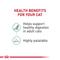 Show in main carousel: Royal Canin Feline Care Nutrition Adult Digestive Care Texture Variety Pack Wet Cat Food, 3-oz can, case of 12 slide 4 of 9