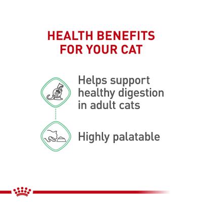 Show full view: Royal Canin Feline Care Nutrition Adult Digestive Care Texture Variety Pack Wet Cat Food, 3-oz can, case of 12 slide 4 of 9