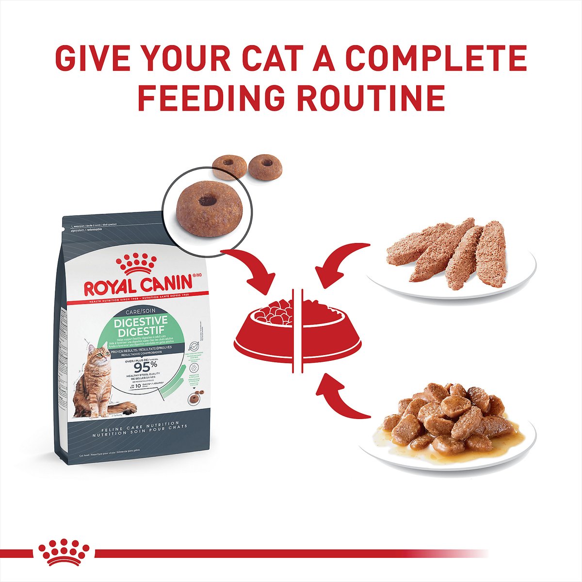 Royal Canin Feline Care Nutrition Adult Digestive Care Texture Variety Pack Wet Cat Food, 3-oz can, case of 12