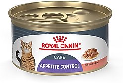 Royal Canin Feline Care Nutrition Appetite Control Care Thin Slices in Gravy Canned Cat Food, 3-oz, case of 24