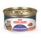 Show in main carousel: Royal Canin Feline Care Nutrition Appetite Control Care Thin Slices in Gravy Canned Cat Food, 3-oz, case of 24 slide 1 of 12