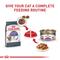 Show in main carousel: Royal Canin Feline Care Nutrition Appetite Control Care Thin Slices in Gravy Canned Cat Food, 3-oz, case of 24 slide 7 of 12